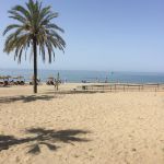 Amare Beach Marbella_2